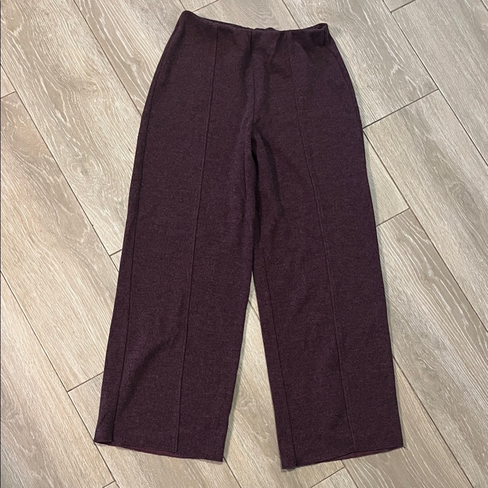 Zara Burgundy Knit Pants